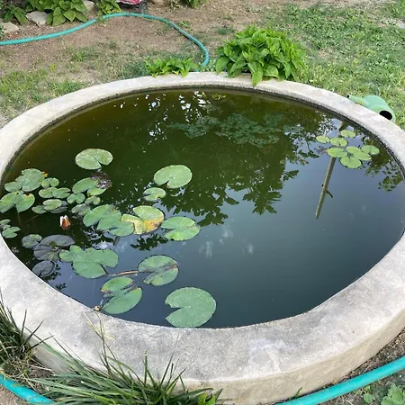 بيت للعطل Peaceful, Spacious And Pristine *